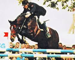 Zorro T